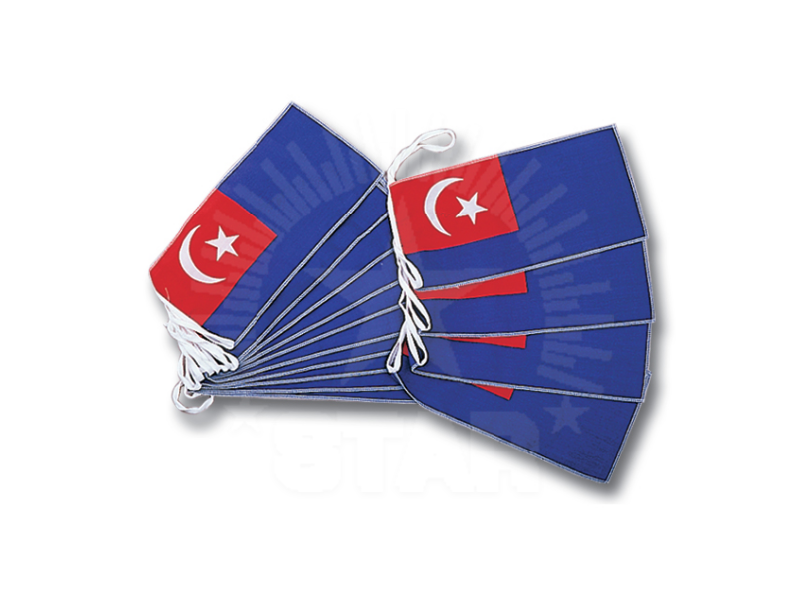 States Bunting | 州旗串