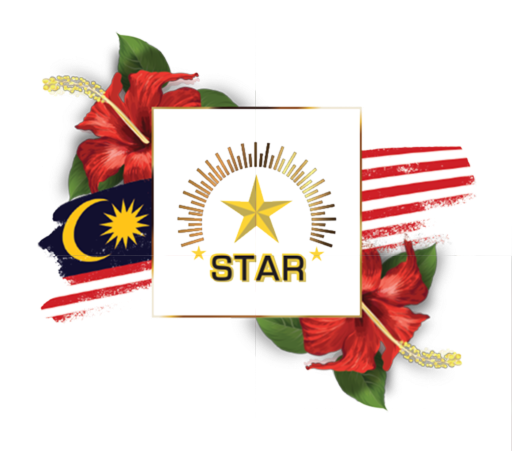 Star Light Flag