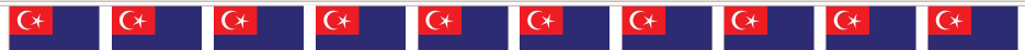 Malaysia Bunting