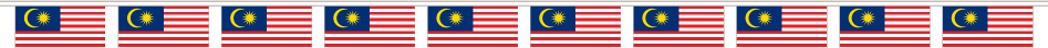 Malaysia Bunting