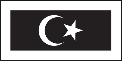 Terengganu Flag