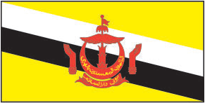Brunei Flag