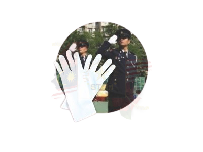 Marching Gloves <br> 手套